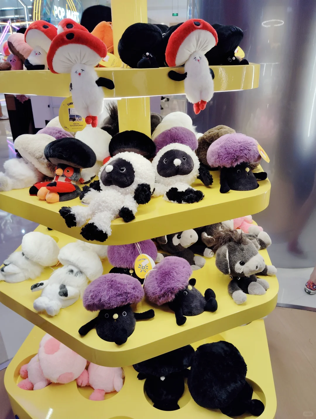 国贸几个展览+快闪合集～很适合?