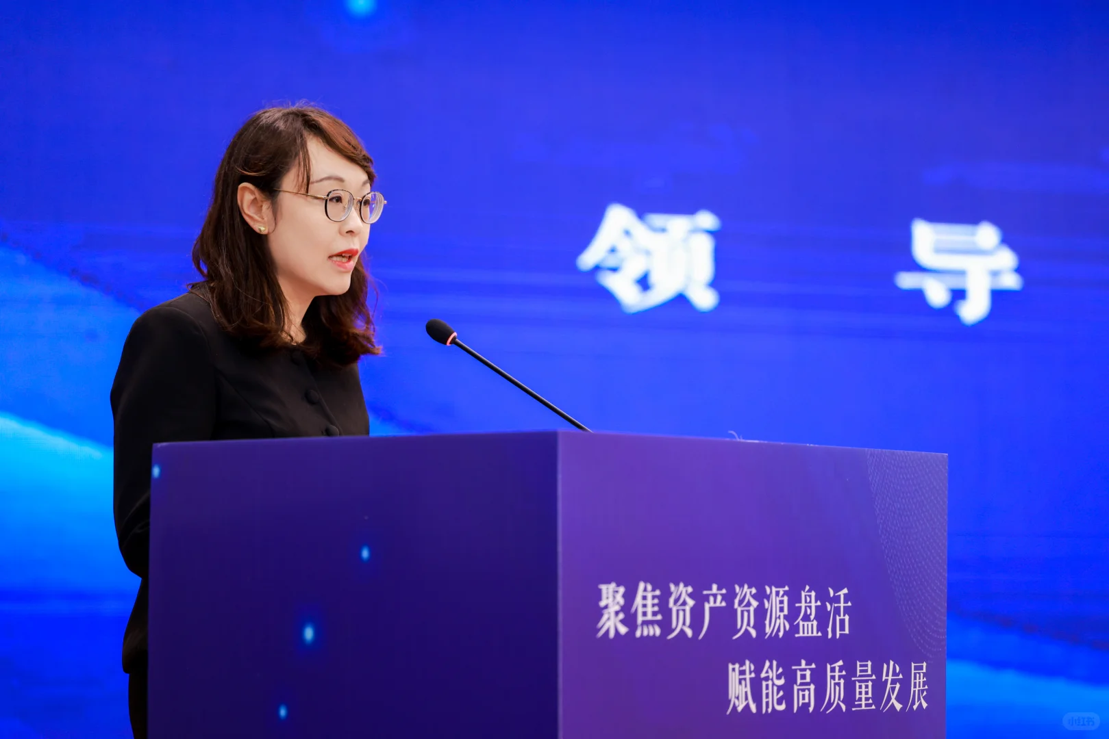 2025贵阳贵安国有企业资产资源推介会