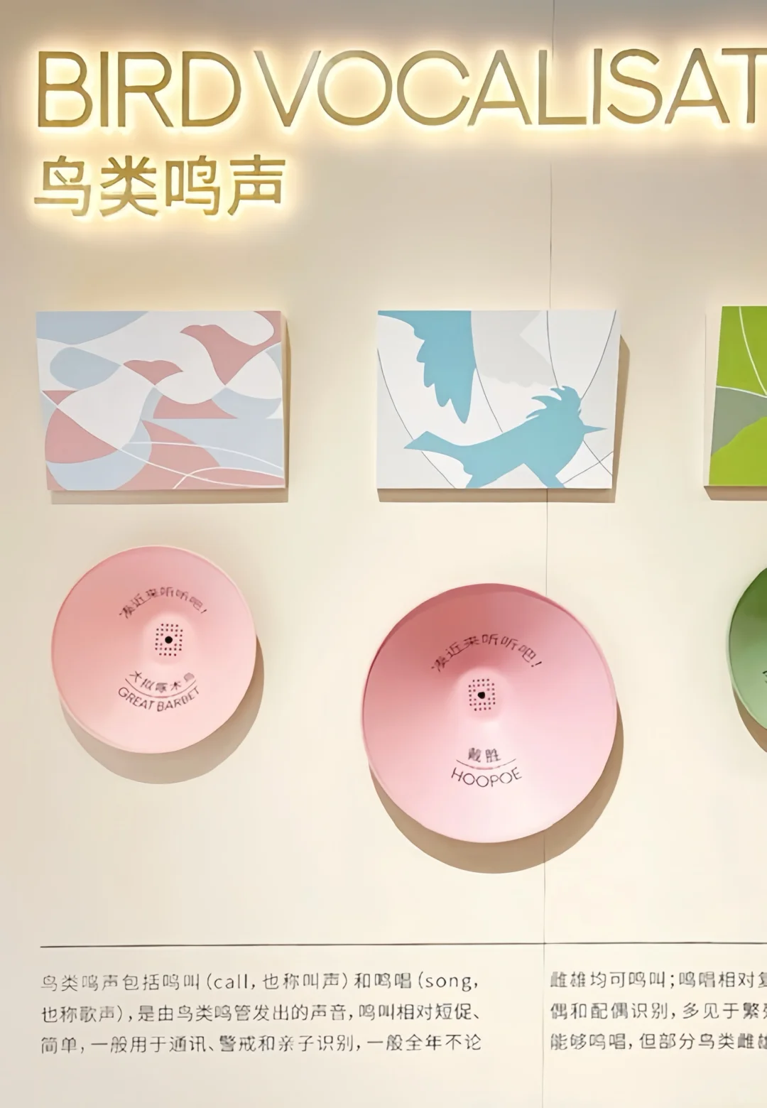 谁说展厅设计无聊啊，这展厅可太棒了?