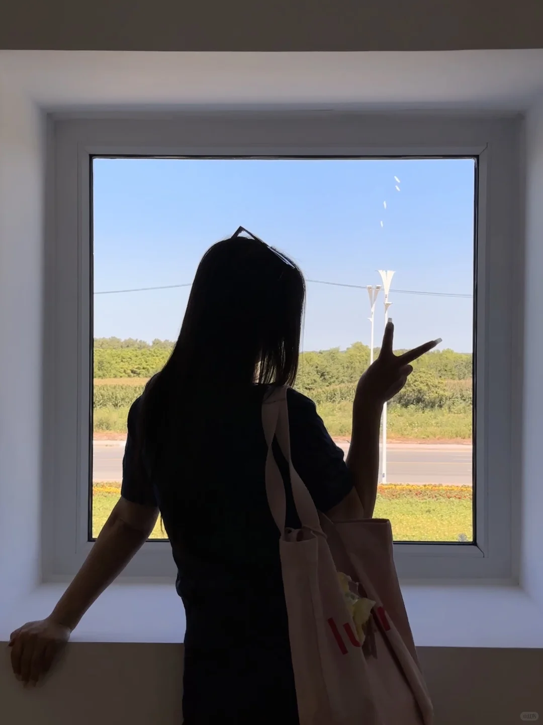 为了这一扇窗也要来的飞鹤工厂?