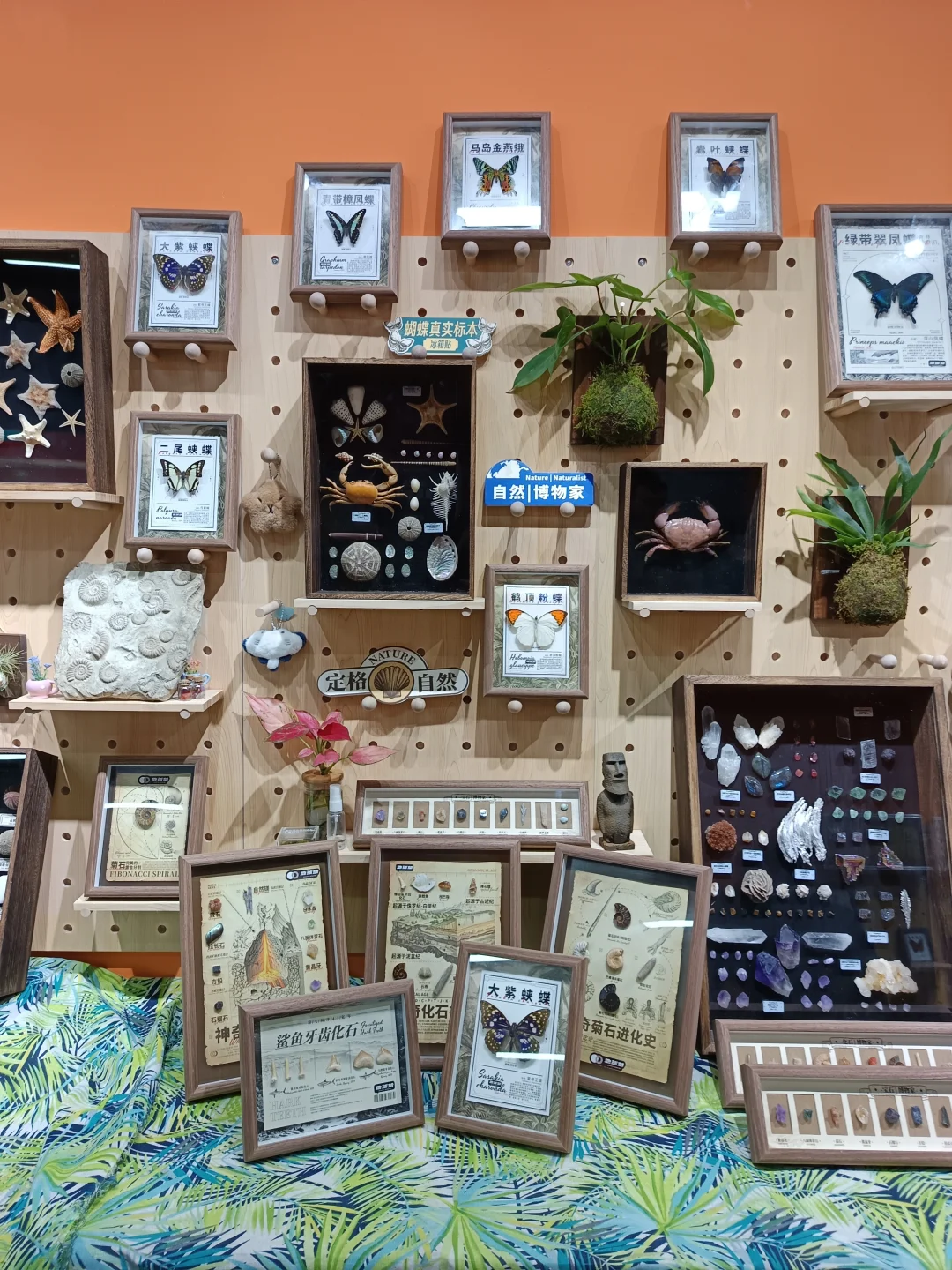 九月！广州见！