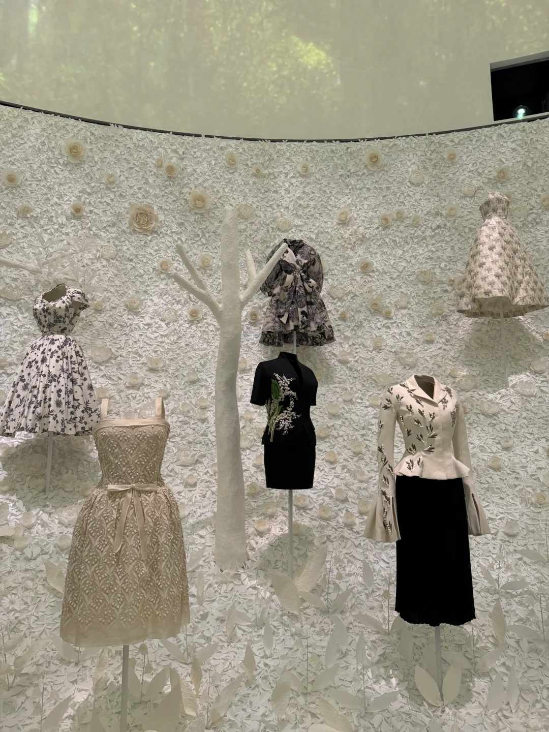 一不小心走进了Dior的时装世界