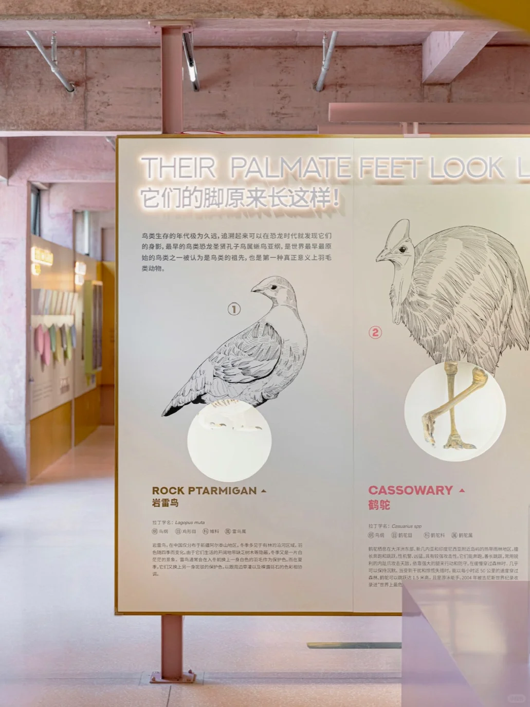 谁说展厅设计无聊啊，这展厅可太棒了?