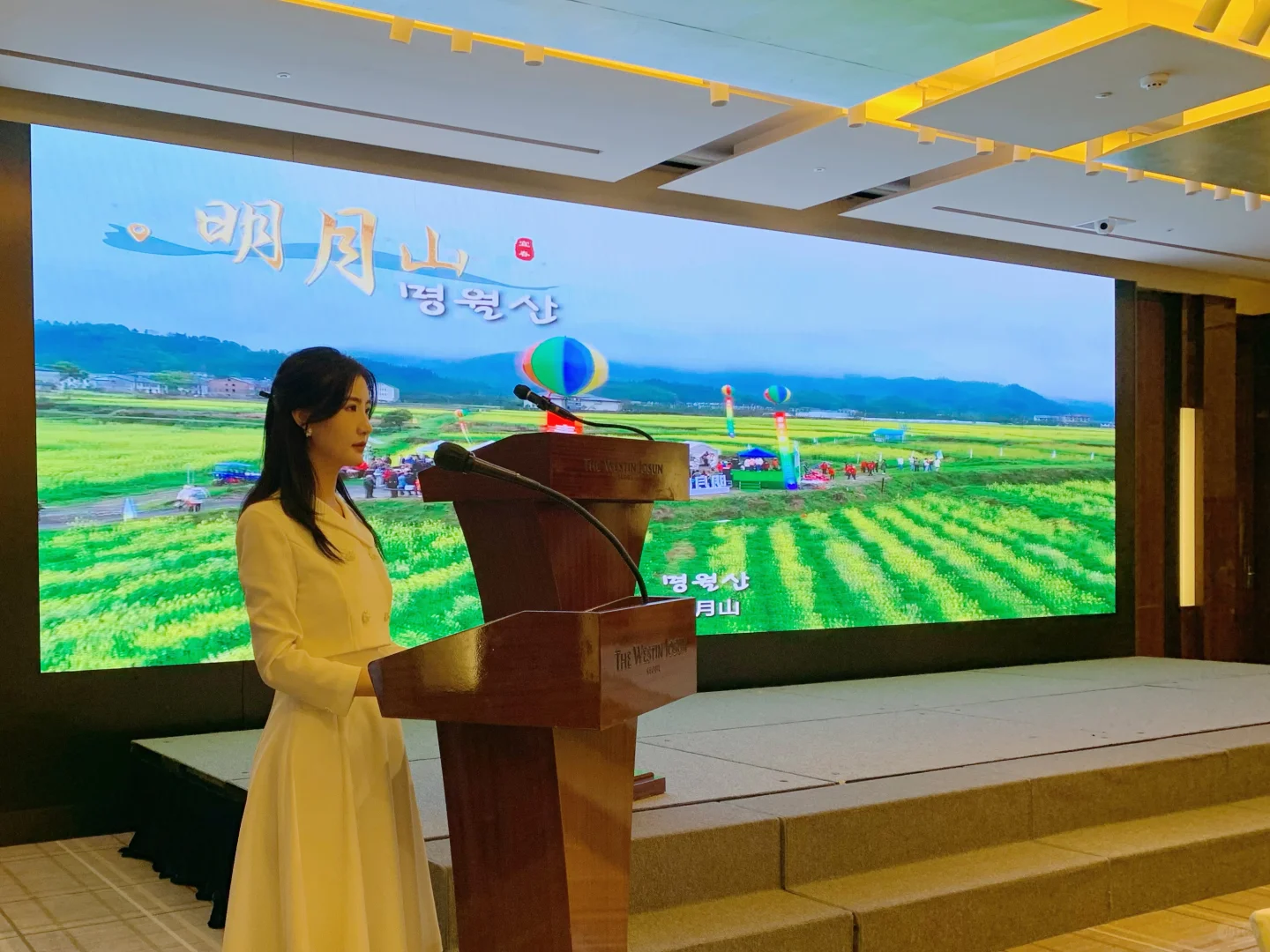 韩国主持plog｜在韩江西宜春文旅招商推介会