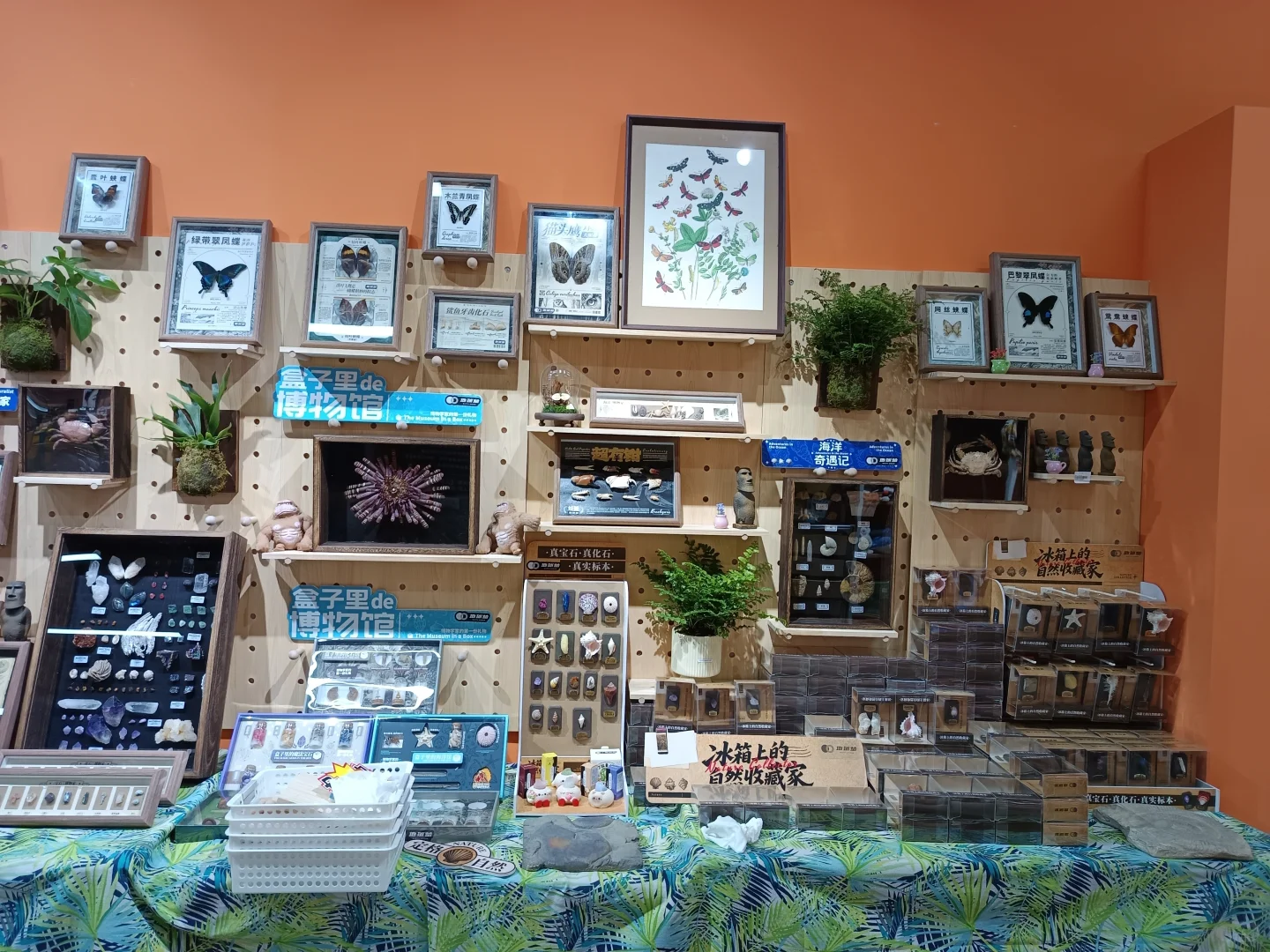 九月！广州见！