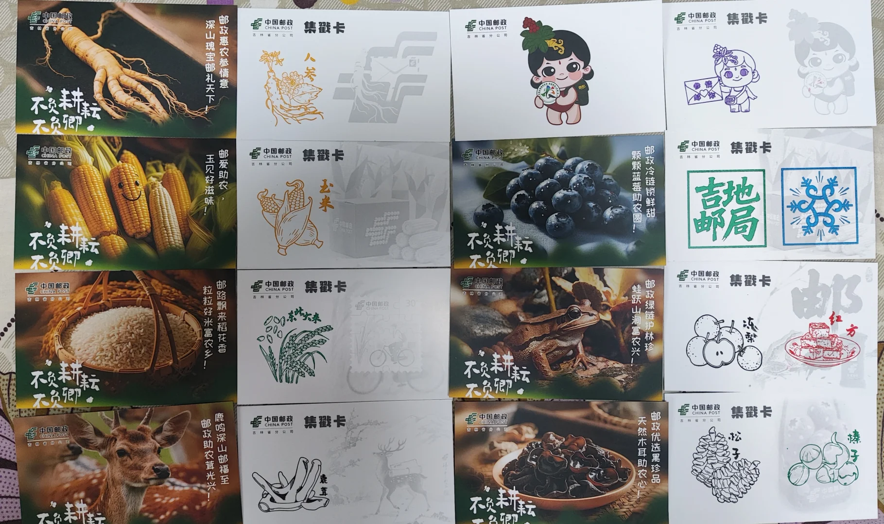 第24届中国长春农博会