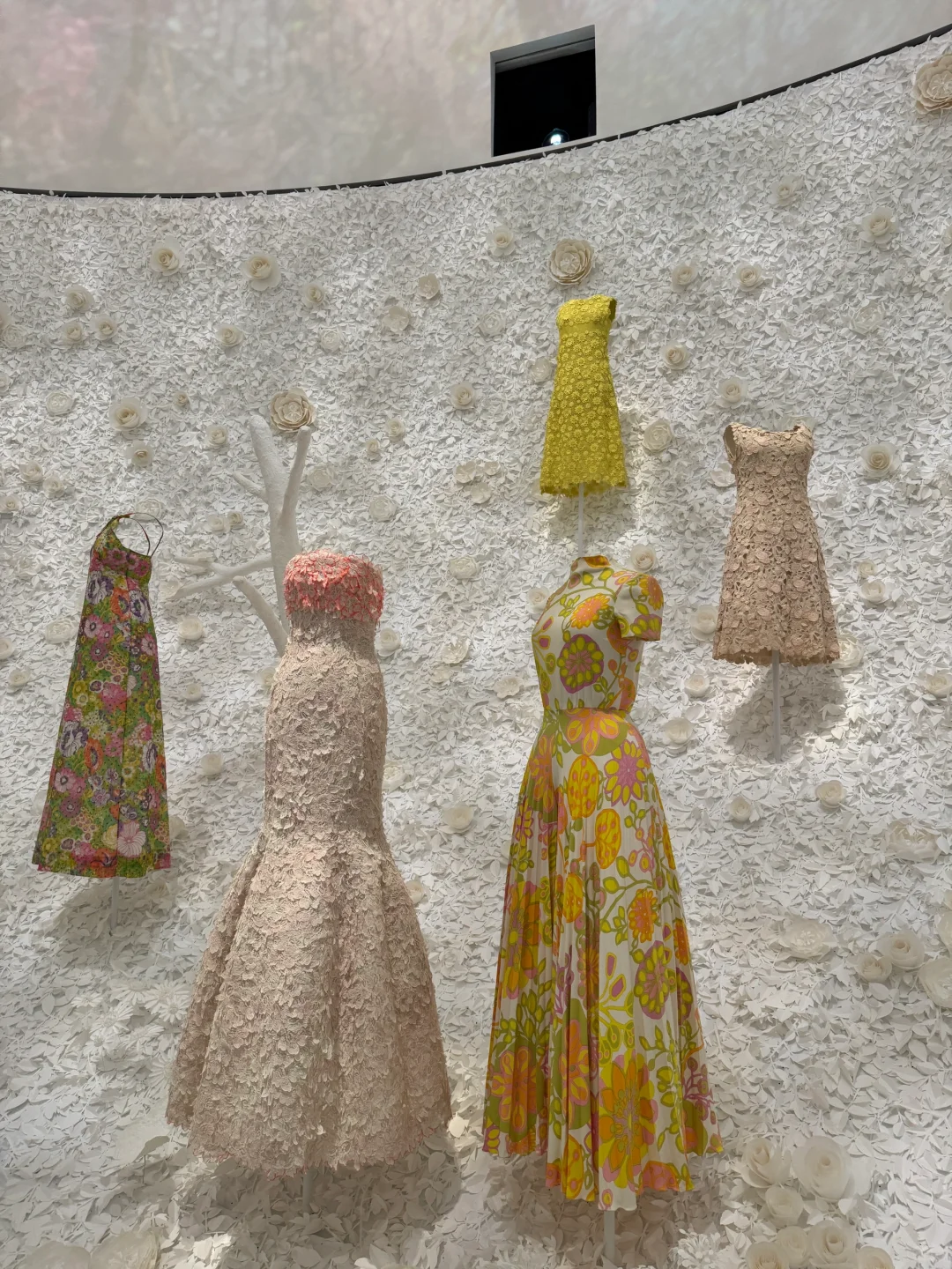 一不小心走进了Dior的时装世界