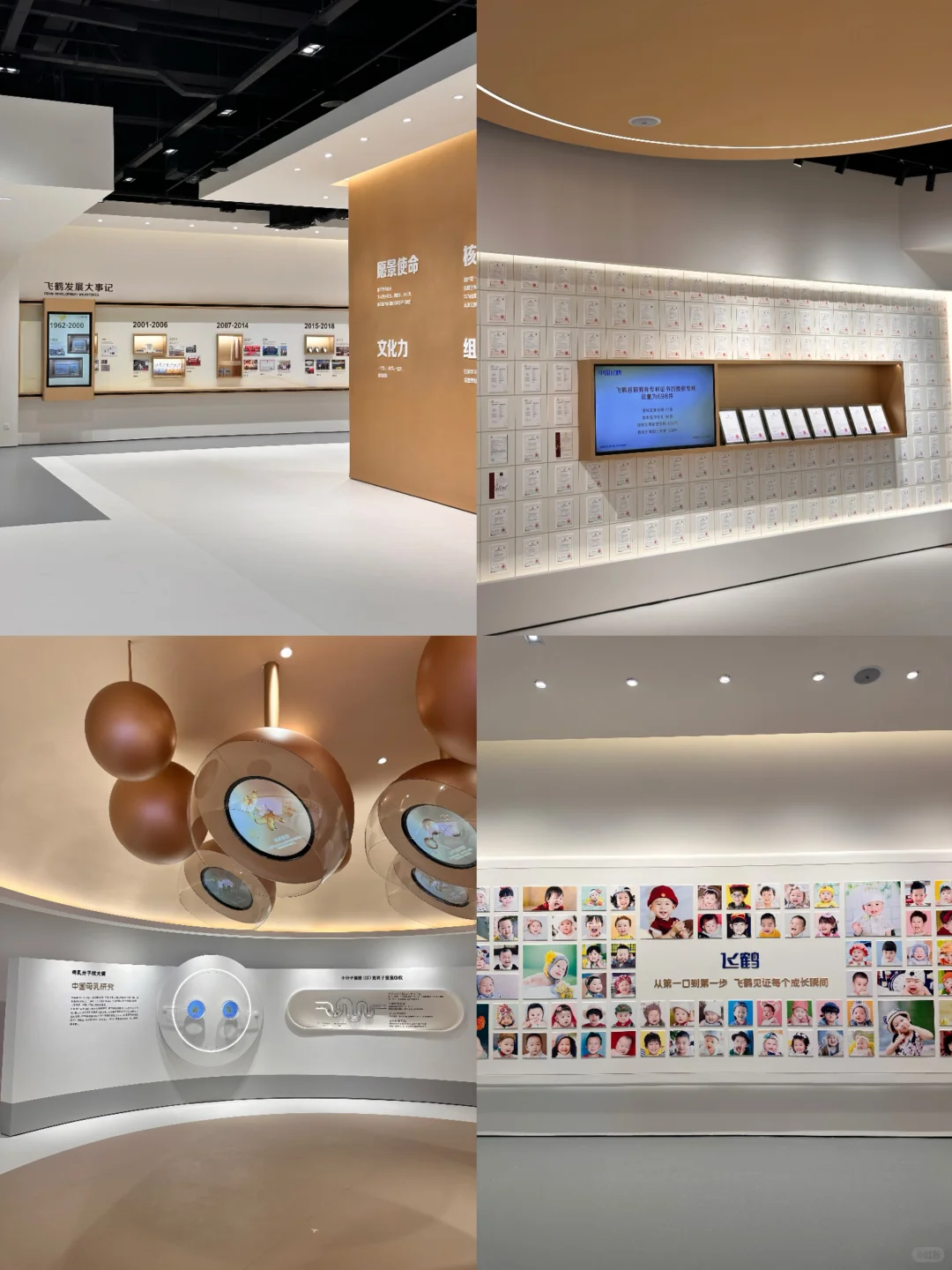 为了这一扇窗也要来的飞鹤工厂?