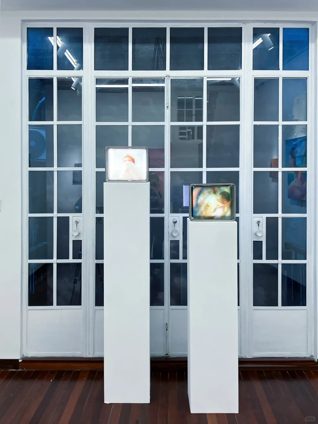 上海免费看展｜2个新展·标准化的梦境商品