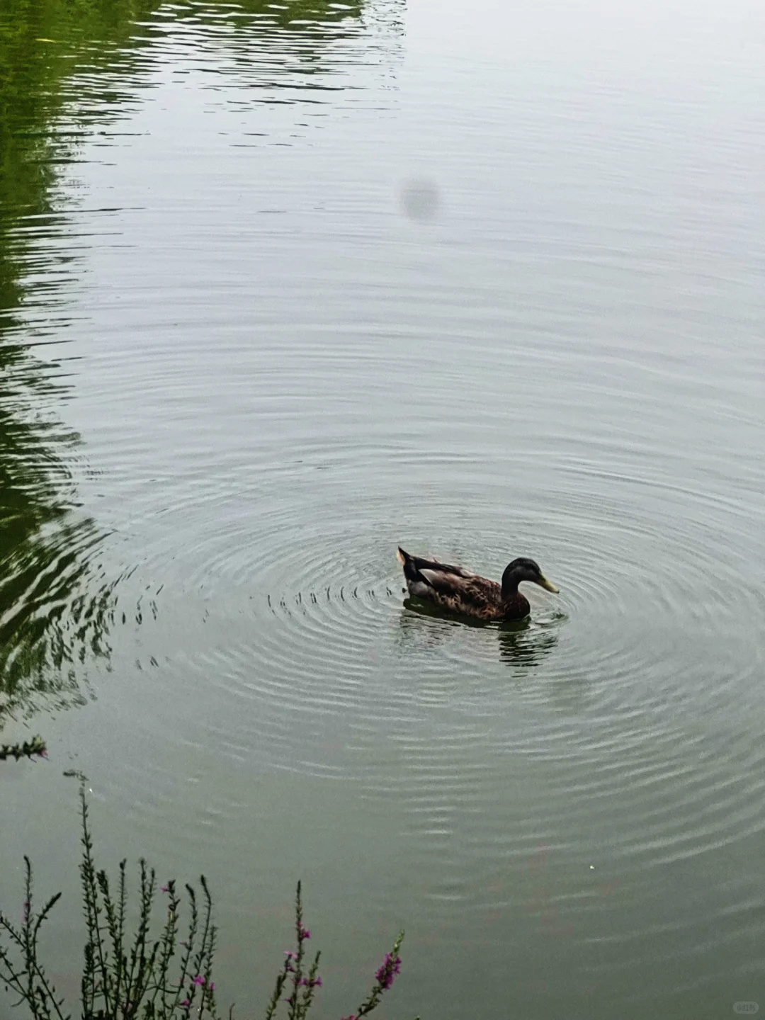 七月的暴雨天躲进Award360°2024年度设计展