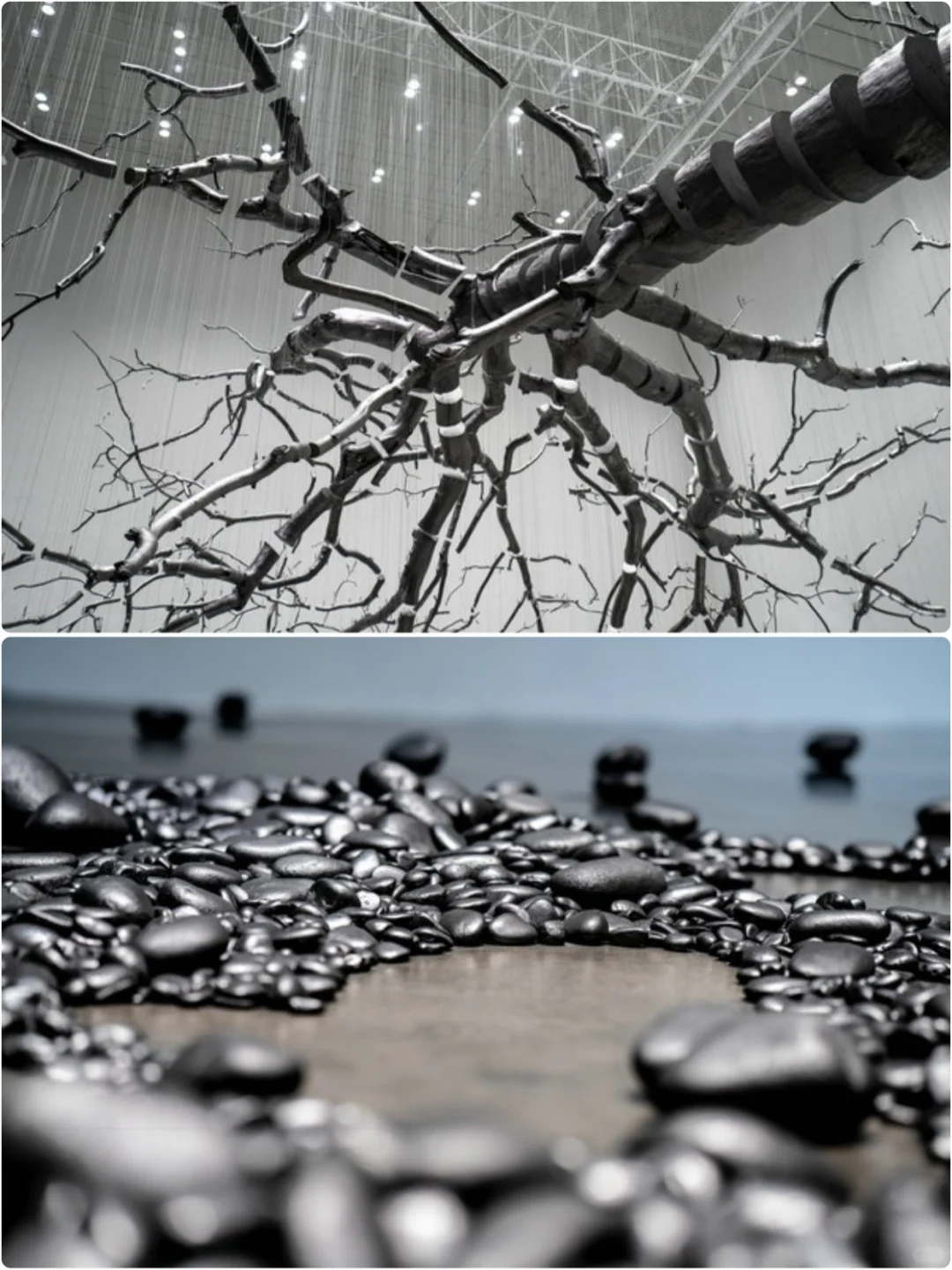 Latest Exhibition | 冷库爆改艺术馆？