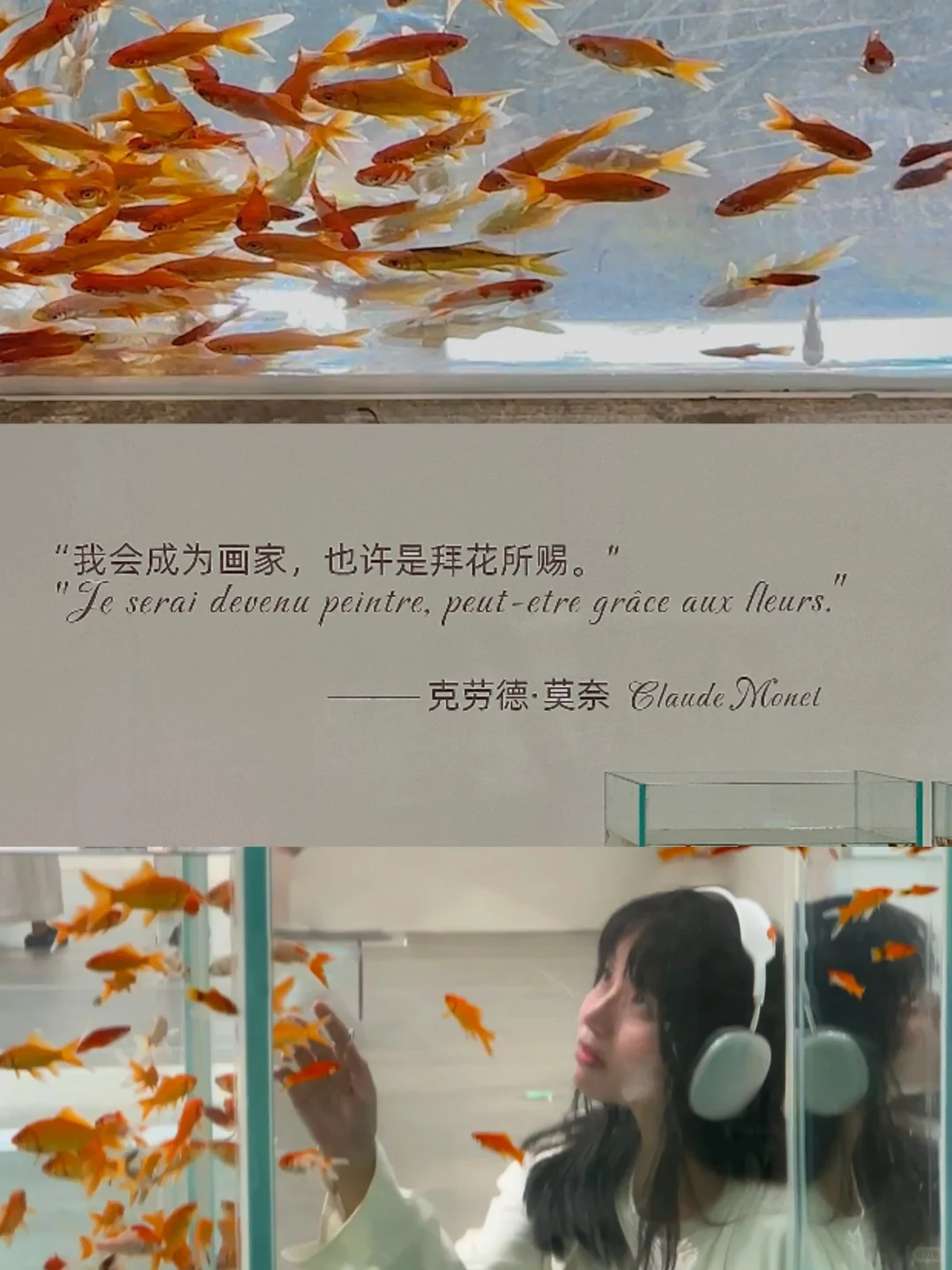 深圳看展,盛夏的莫奈是光的诗人…