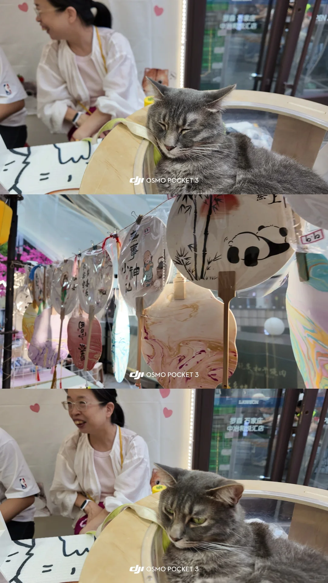 石家庄中冶又来搞市了?成功升级仙市！！