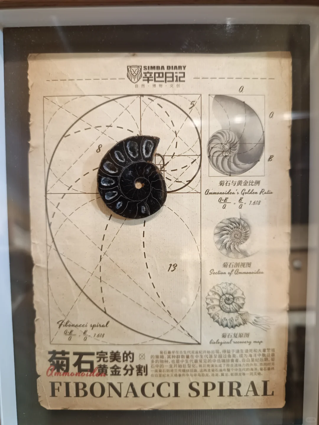 九月！广州见！