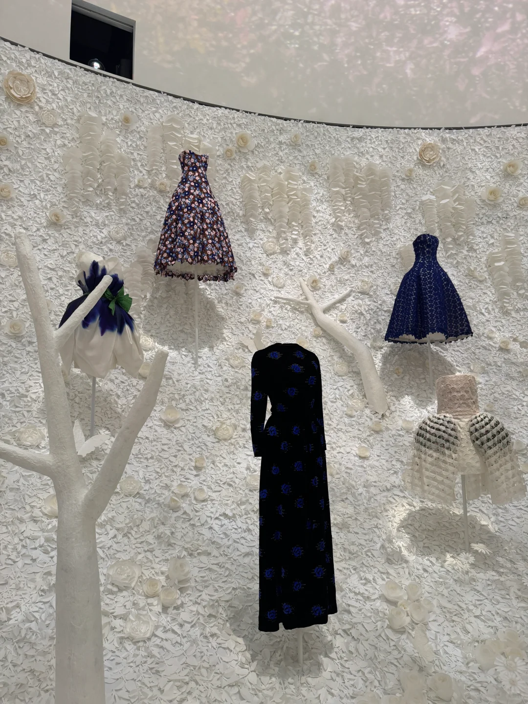 一不小心走进了Dior的时装世界