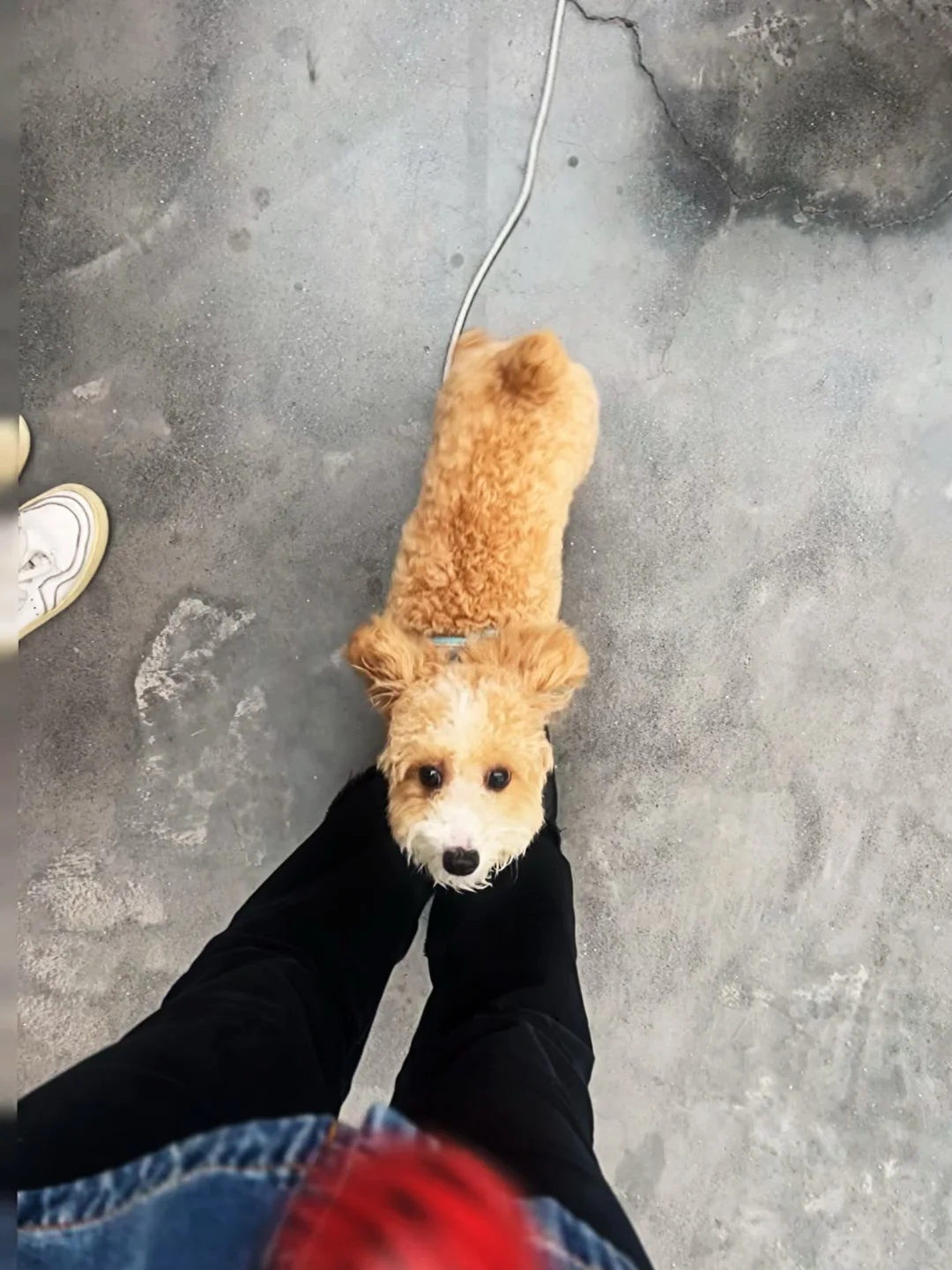 七月的暴雨天躲进Award360°2024年度设计展