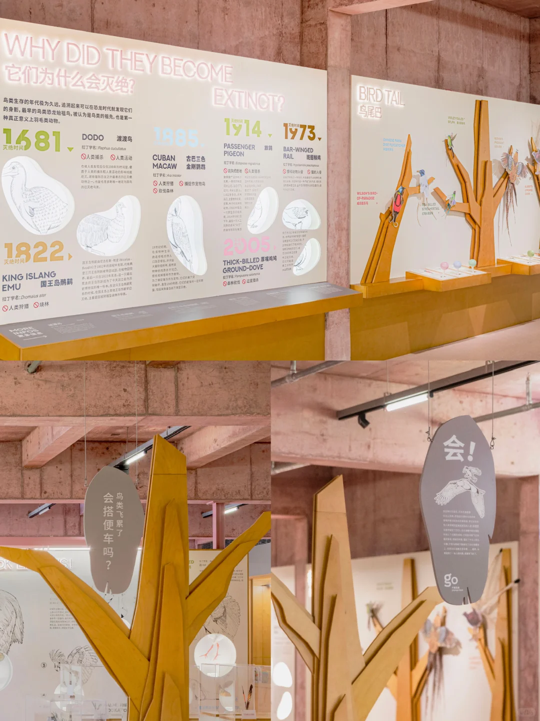 谁说展厅设计无聊啊，这展厅可太棒了?