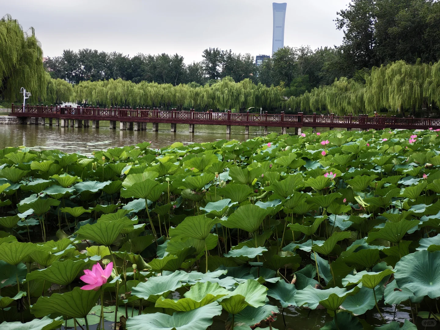 北京小众展馆：农展