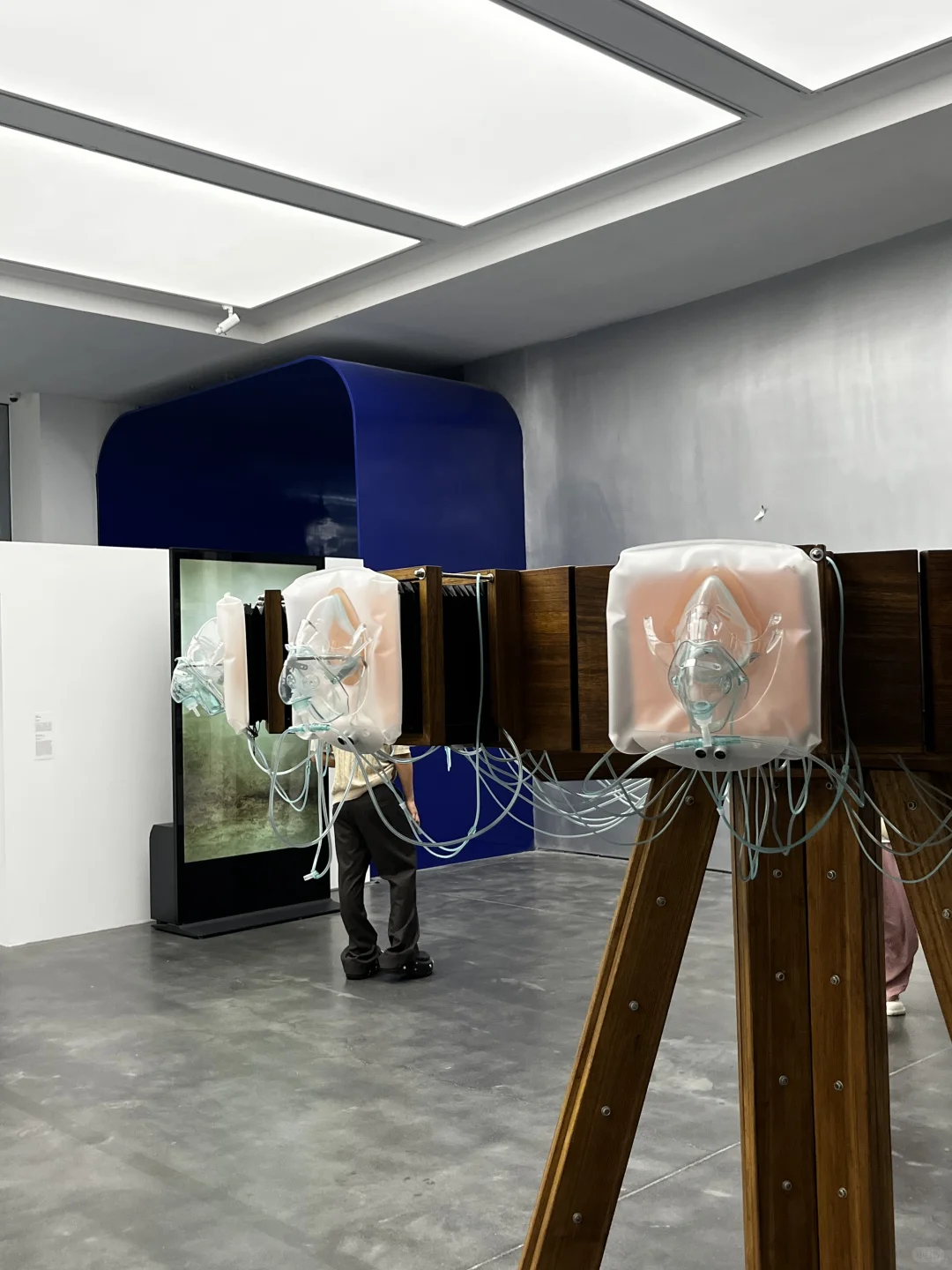 近期北京最值得看的展，最后一周?