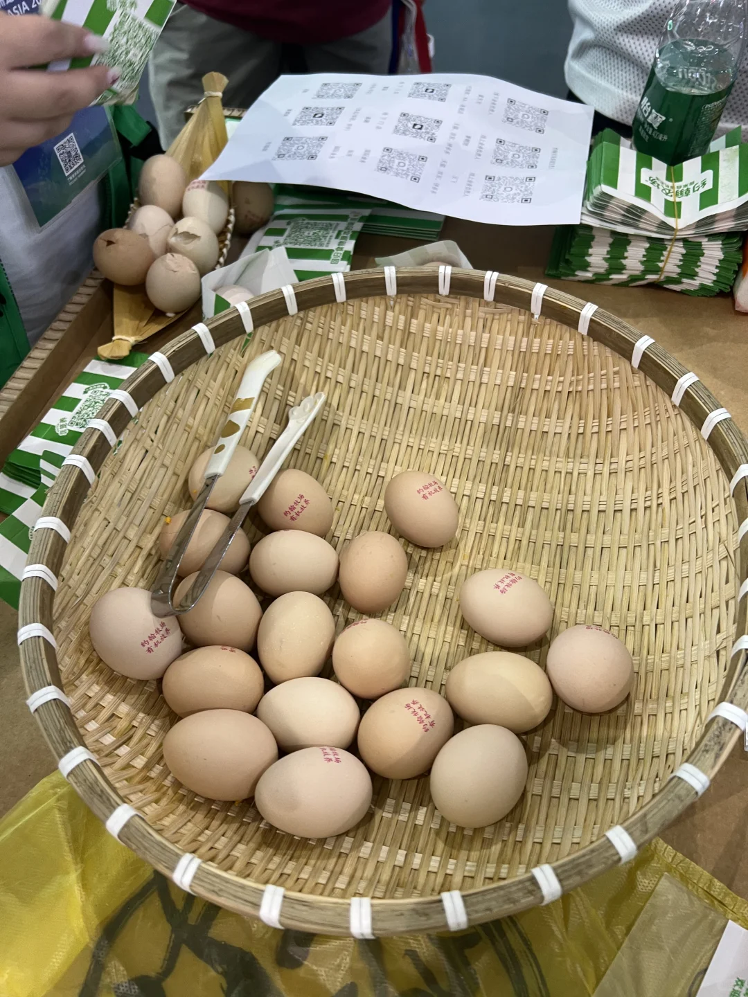 上海宠物展，今天开始啦