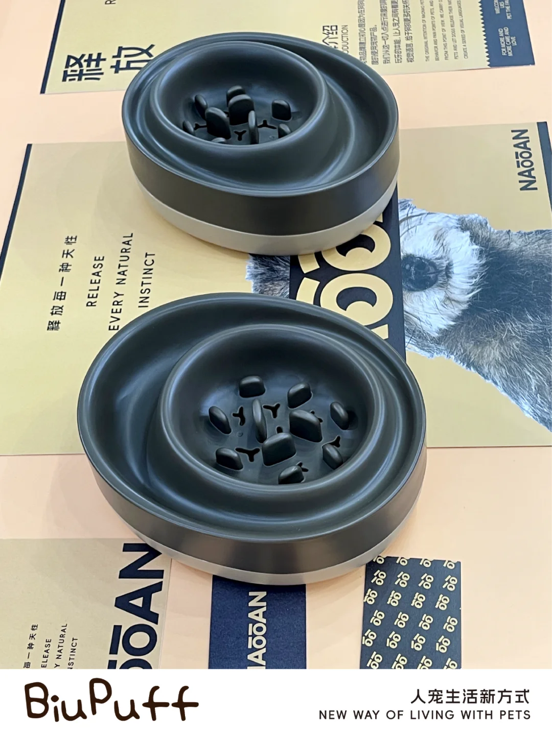 深圳宠物用品展，我们来了！