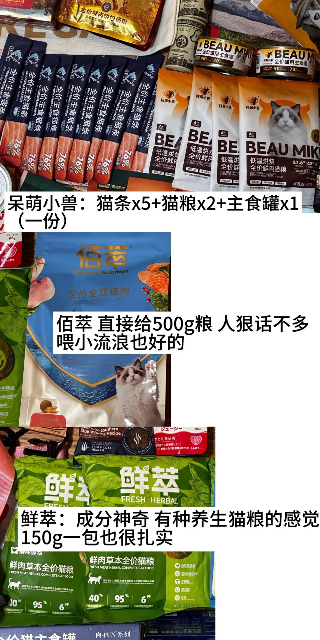 亚宠展攻略（文字版）