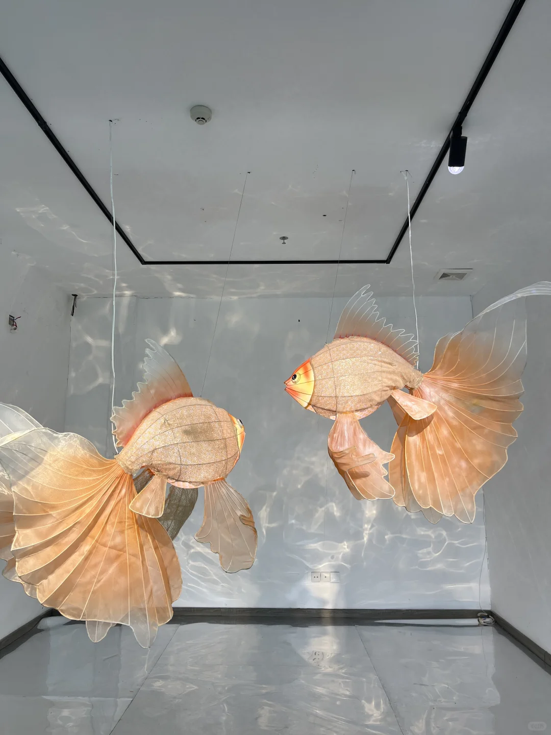 广州新展｜坠入鱼里的世界? （附路线‼️）