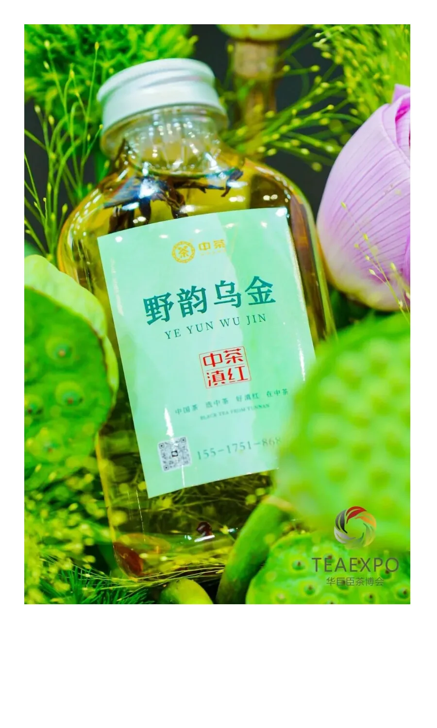 展讯 | 8月21日-24日 上海茶博会