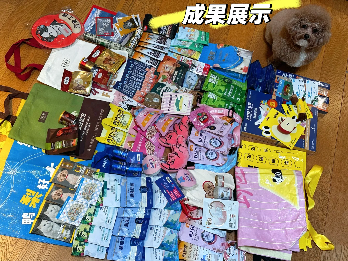 亚宠展攻略（文字版）