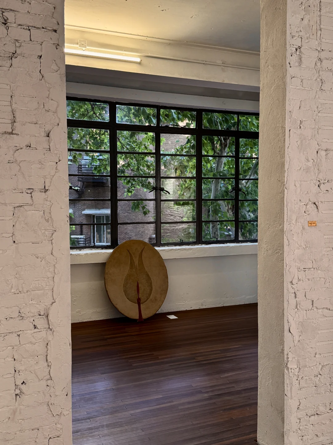 8月上海?新展 | 南昌大楼限时开放啦‼️