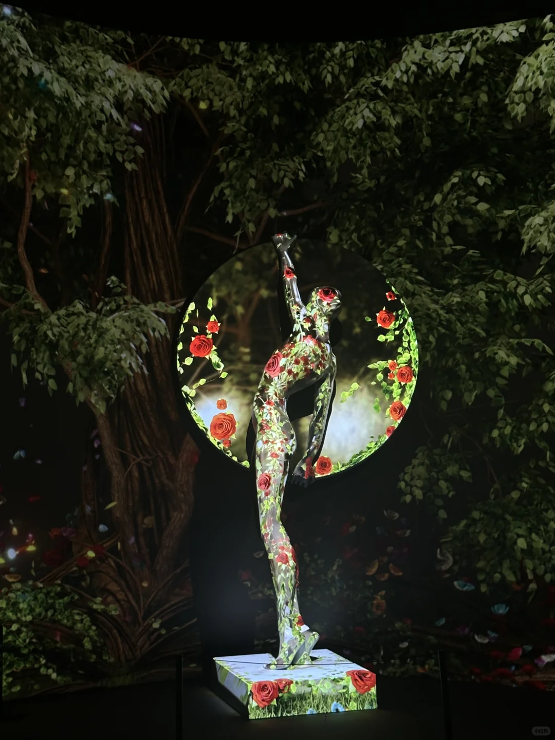 EXPO2025！长见识变成长教训！