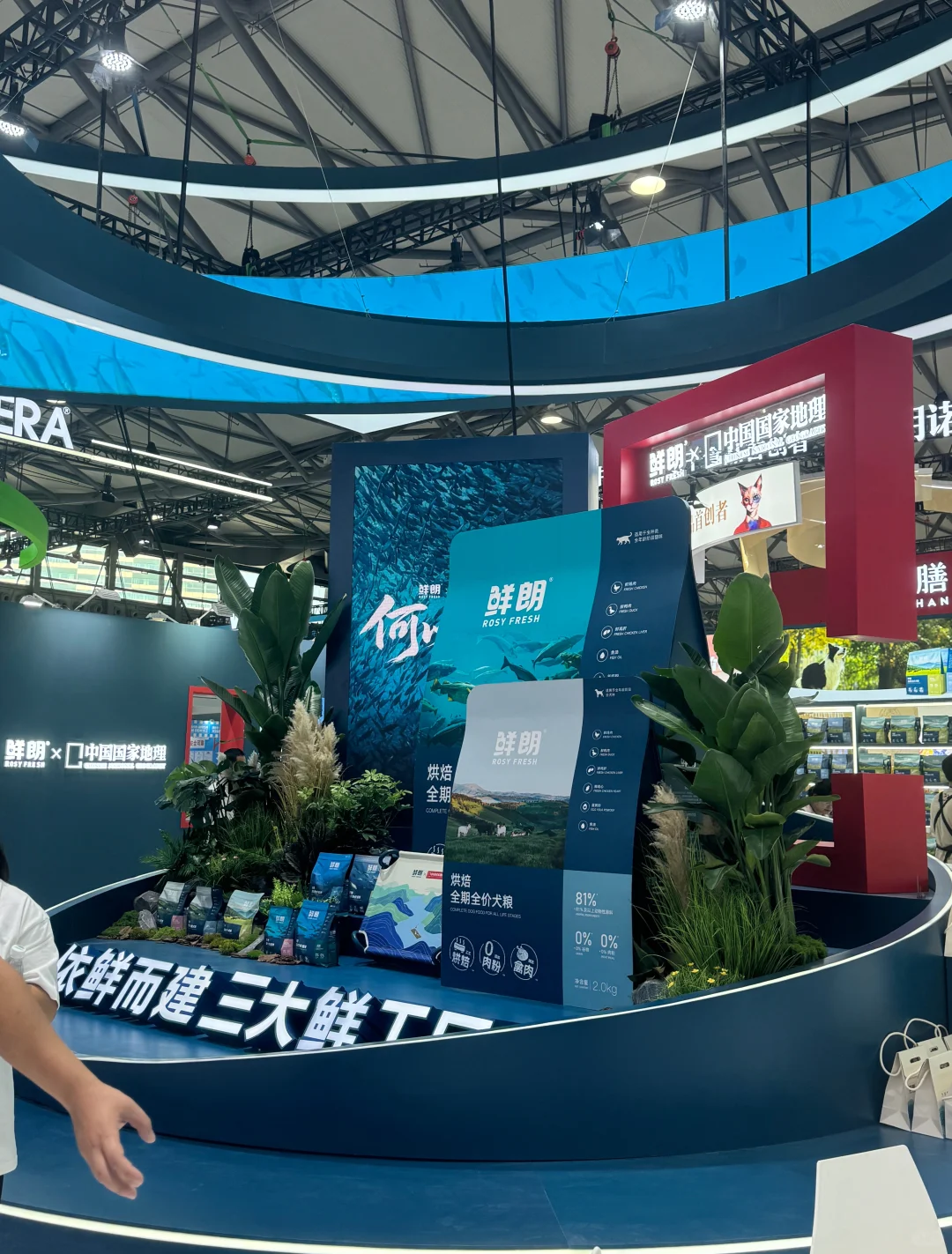 今年怎么逛亚宠展?看这篇就够了!!