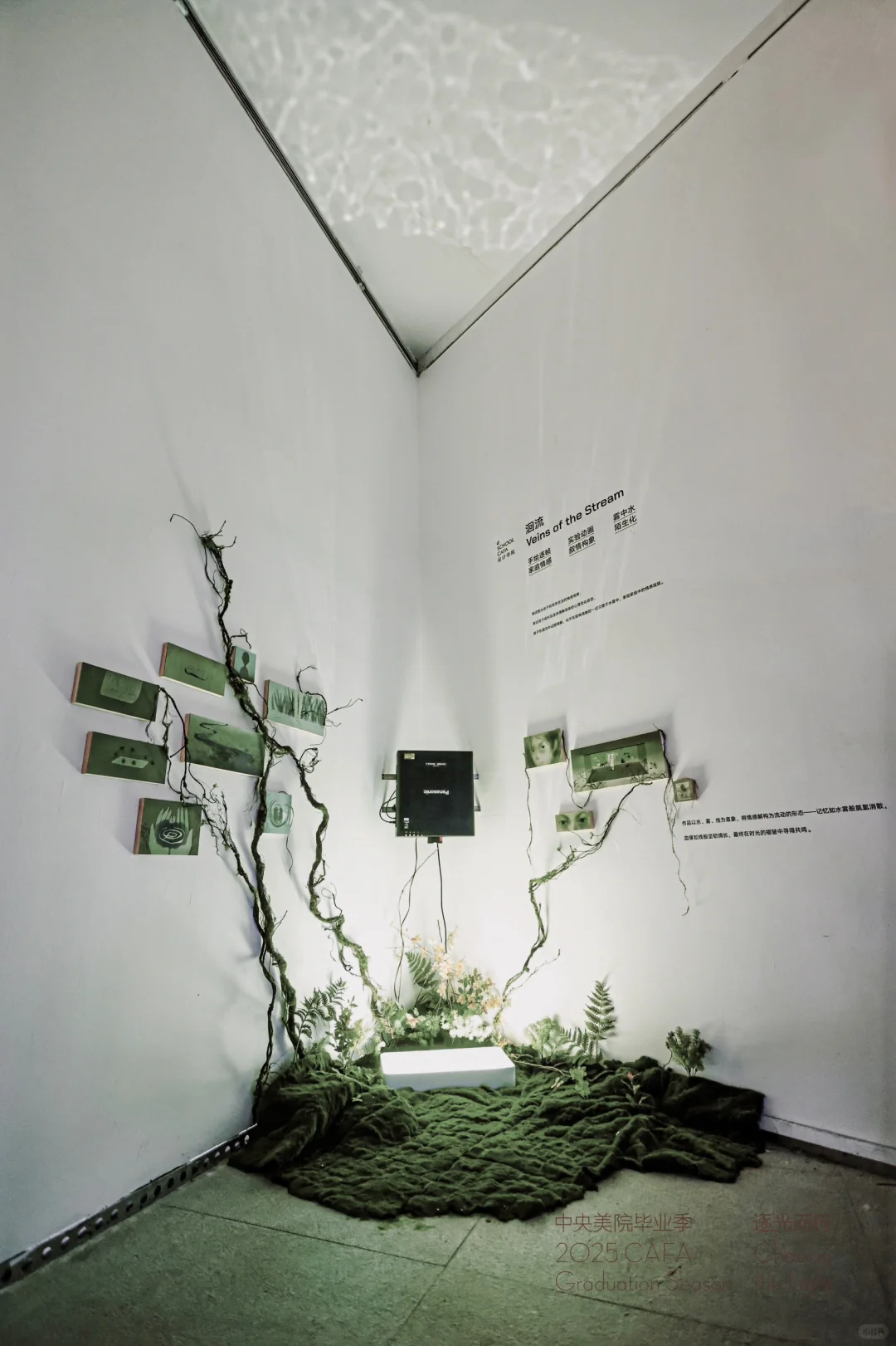 洄流｜一个月做完毕设