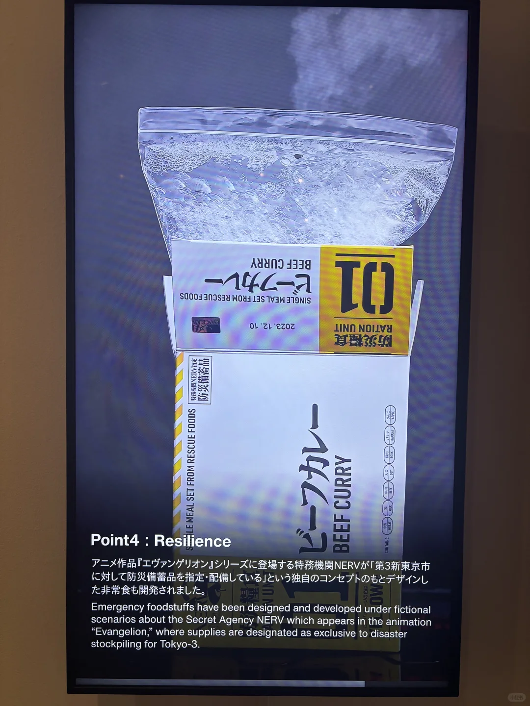 东京21_21 DESIGN SIGHT防灾设计展