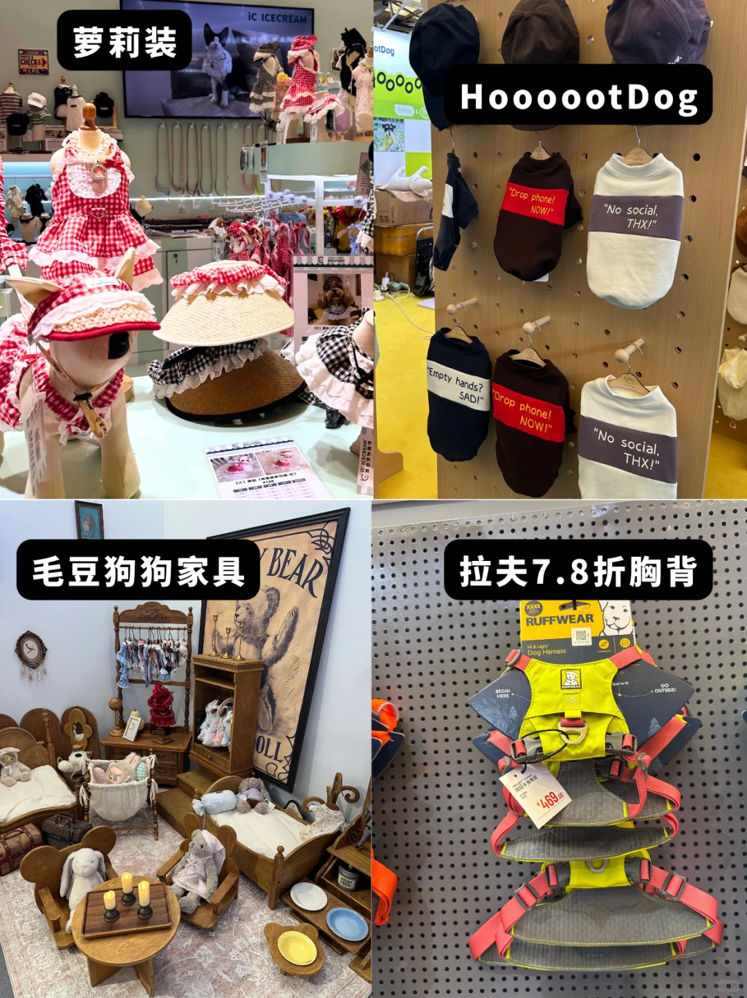 ?2025年上海亚宠展看这篇就够了！超全✨