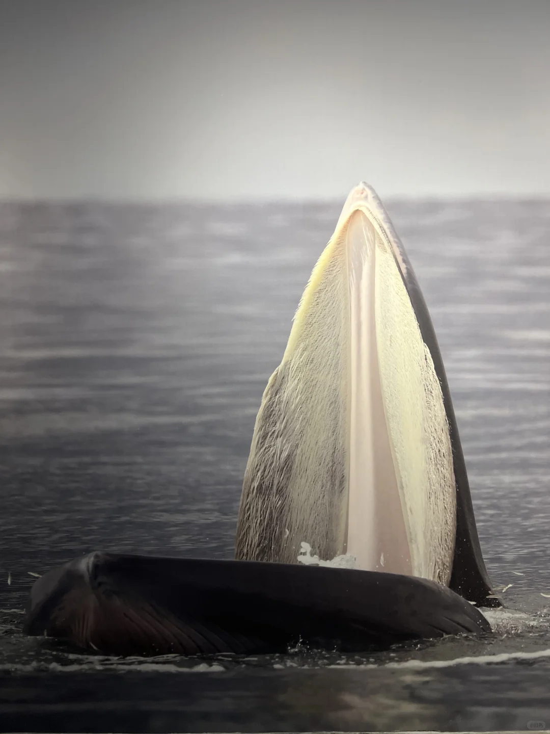 南宁新展！！好震撼！！