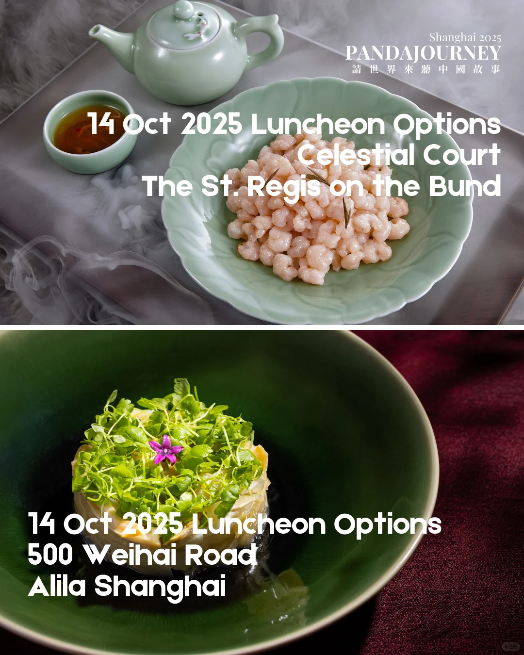 PandaJourney 2025 世界遇见中国