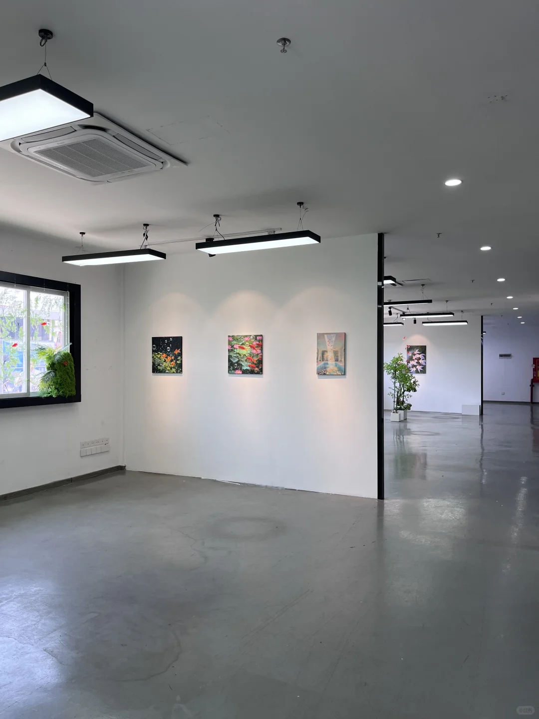 广州新展｜坠入鱼里的世界? （附路线‼️）