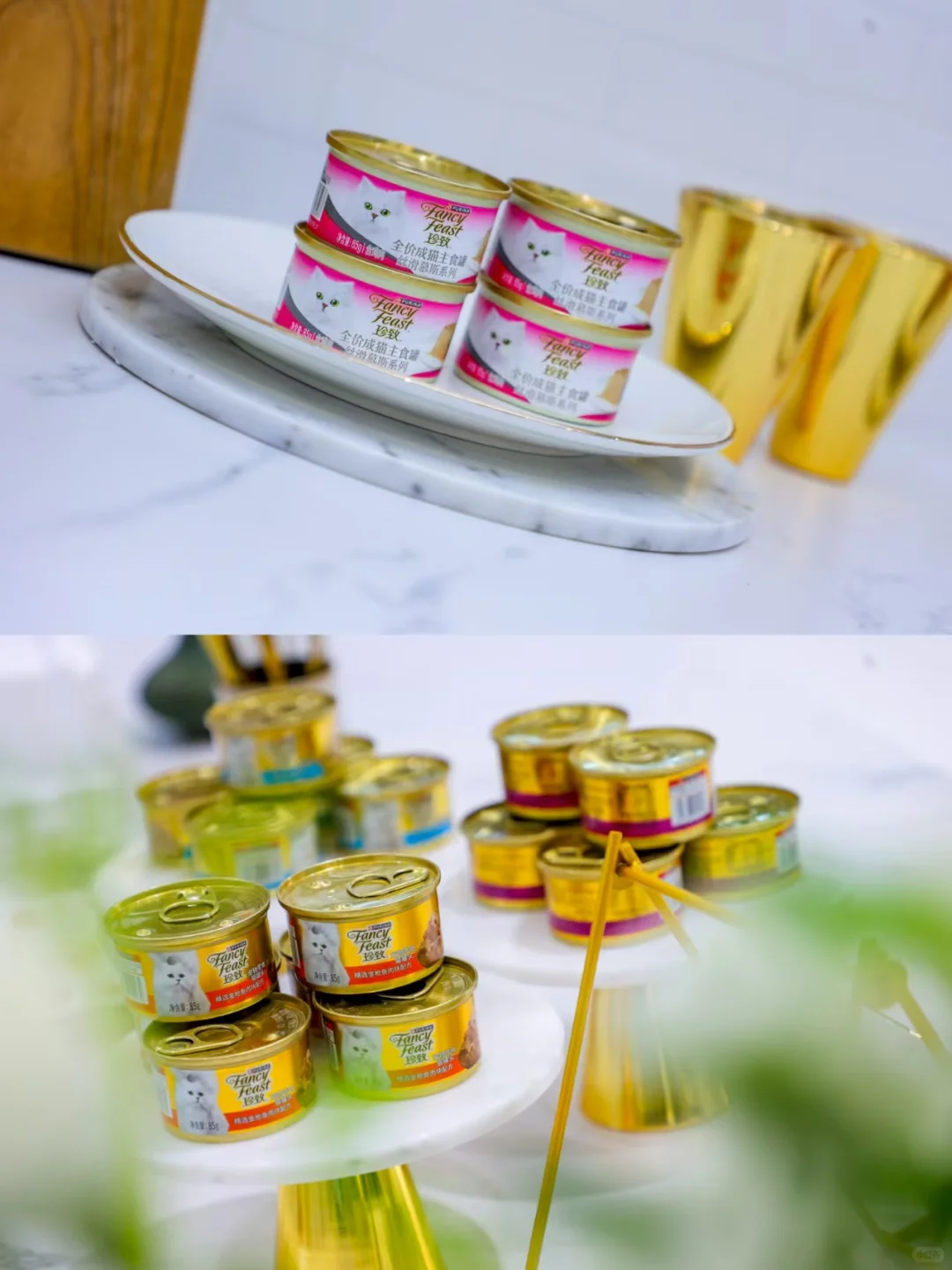 2025亚宠展珍致展台打卡攻略！有好礼