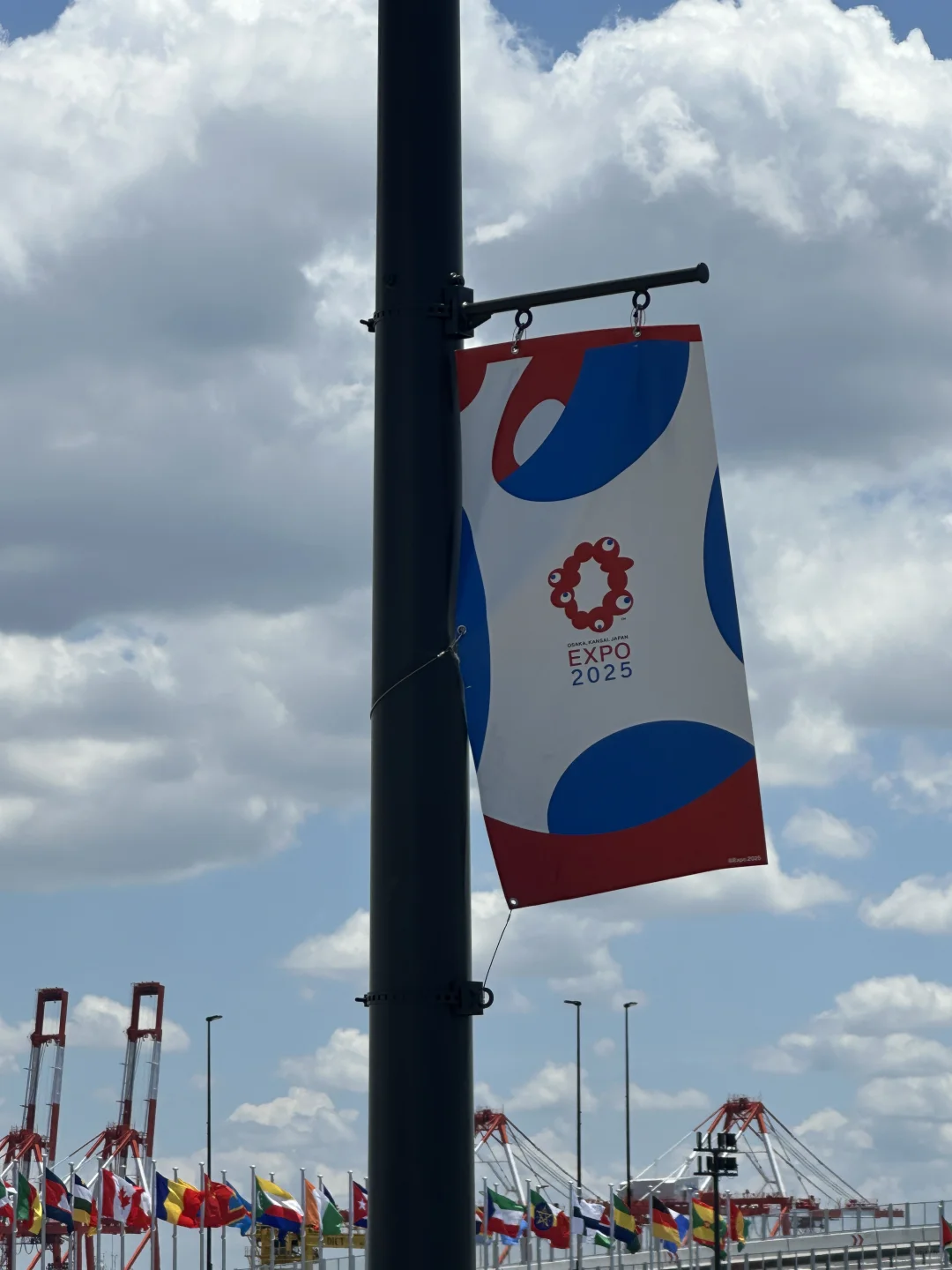 EXPO2025！长见识变成长教训！