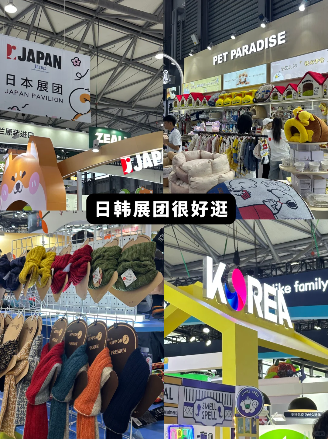 ?2025年上海亚宠展看这篇就够了！超全✨