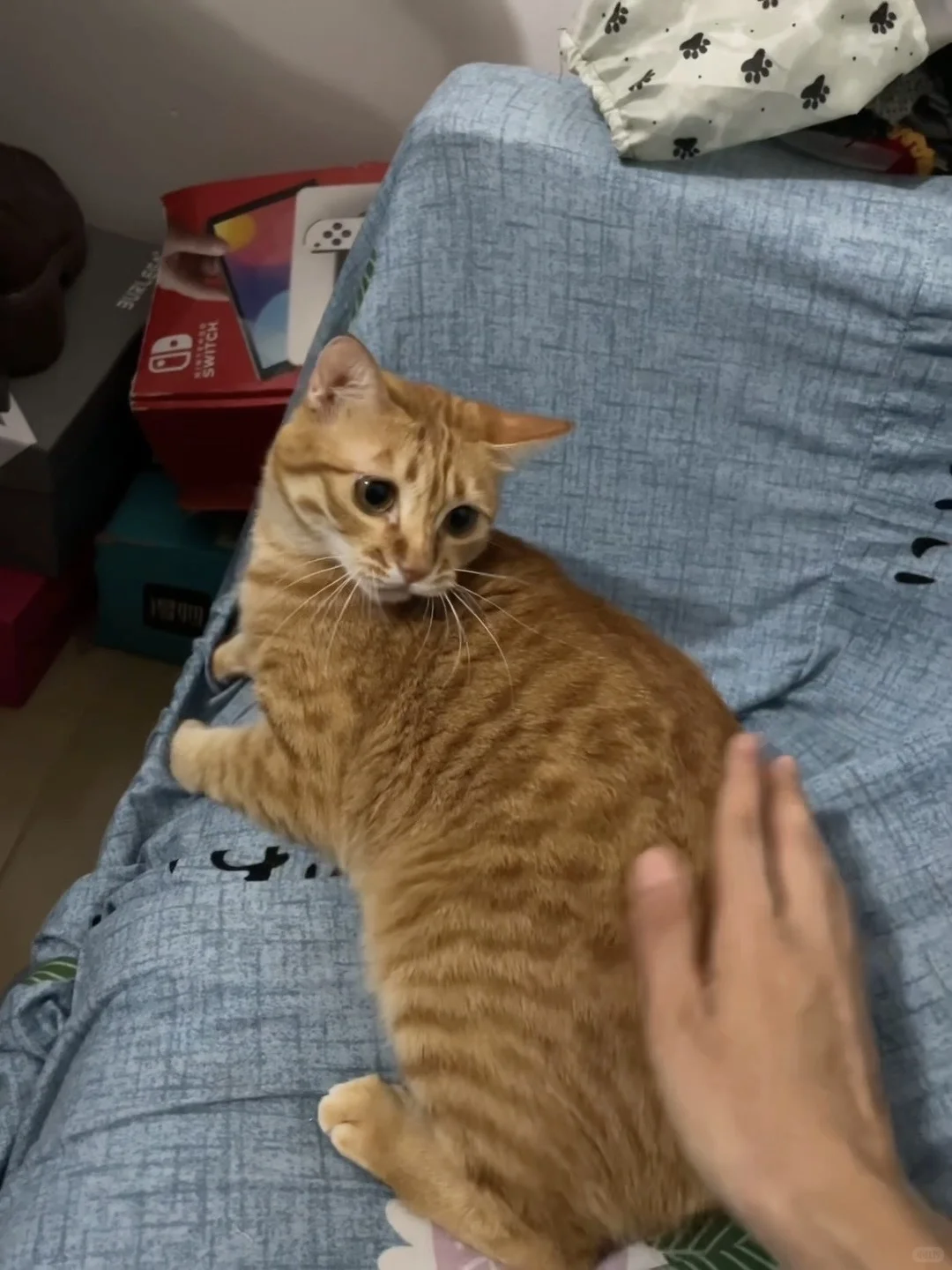 我值得轻松的关系 明亮的笑容