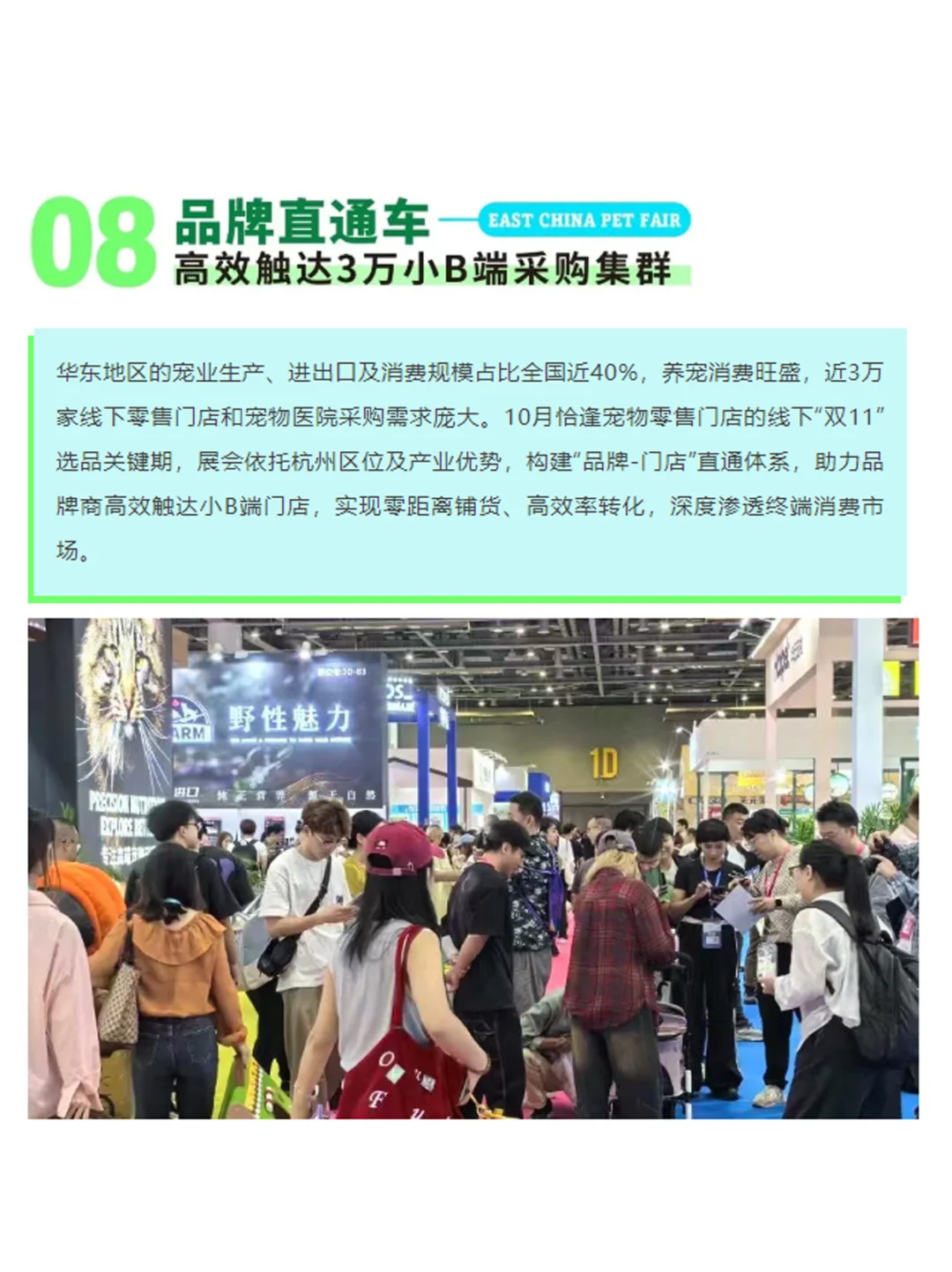 电商宠物展官宣！杭州人抢跑500亿蓝海?