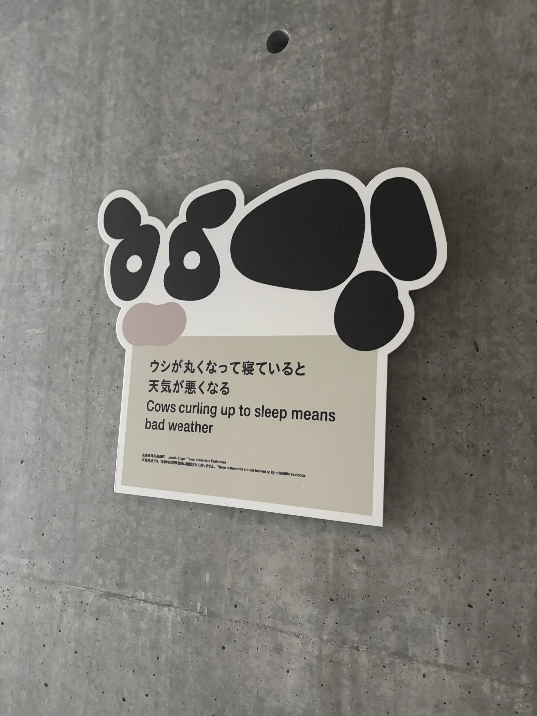 东京21_21 DESIGN SIGHT防灾设计展