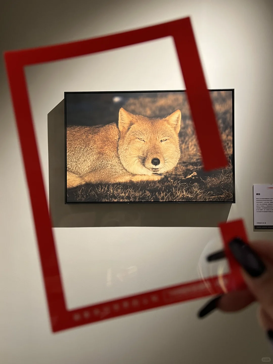 南宁新展！！好震撼！！