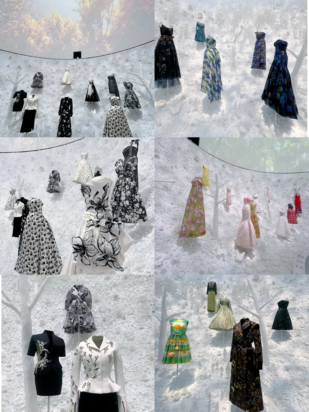 “Christian Dior: Designer of Dreams”서울