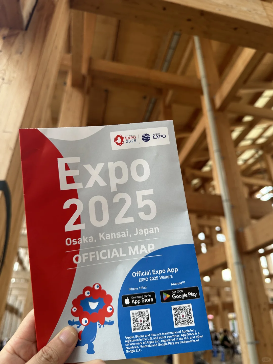 EXPO2025！长见识变成长教训！