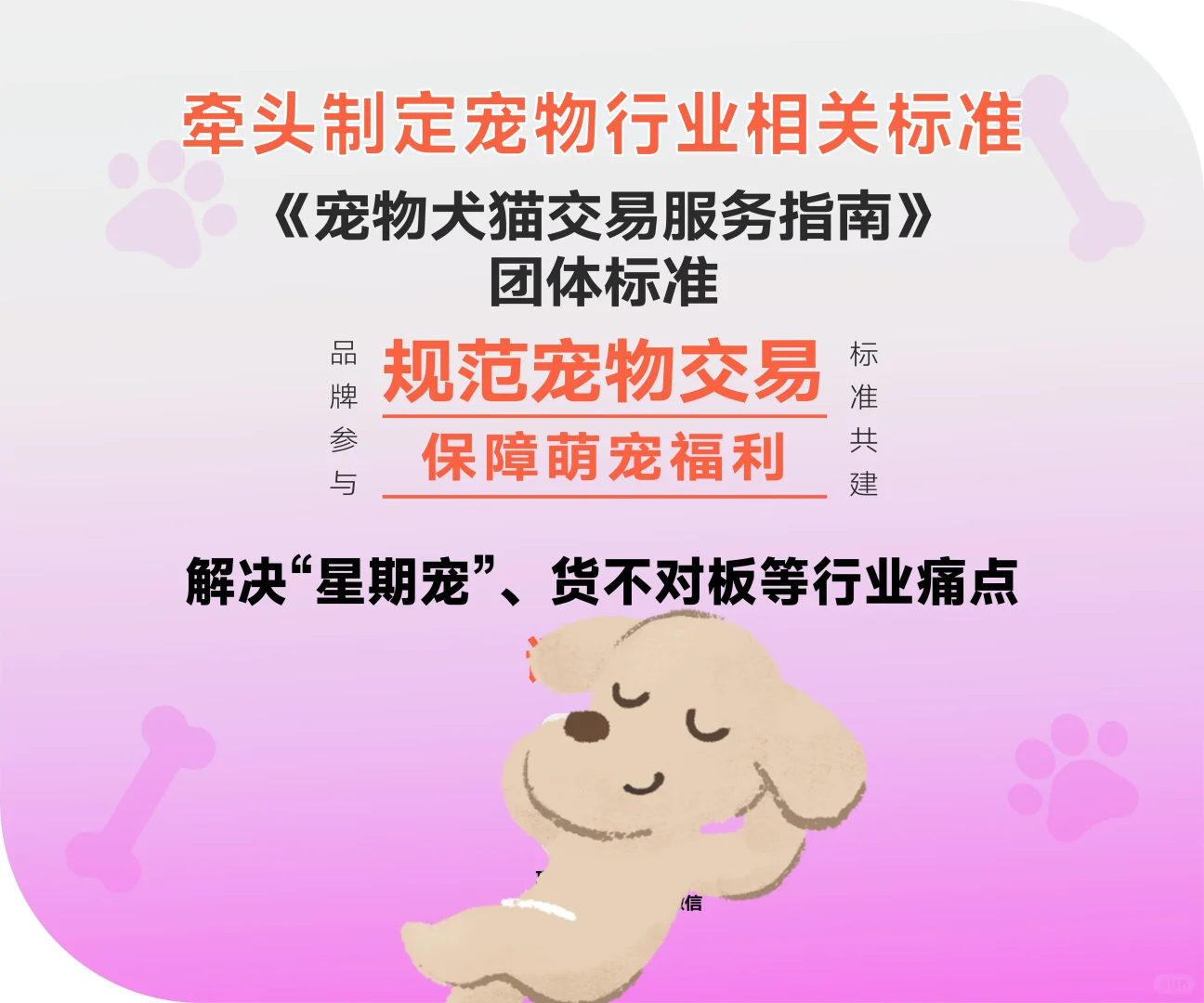 亚宠展我们来啦！