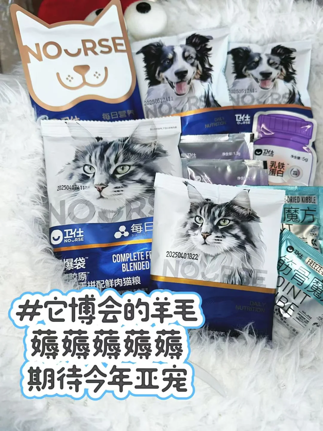 2025年亚宠展保姆级必看攻略