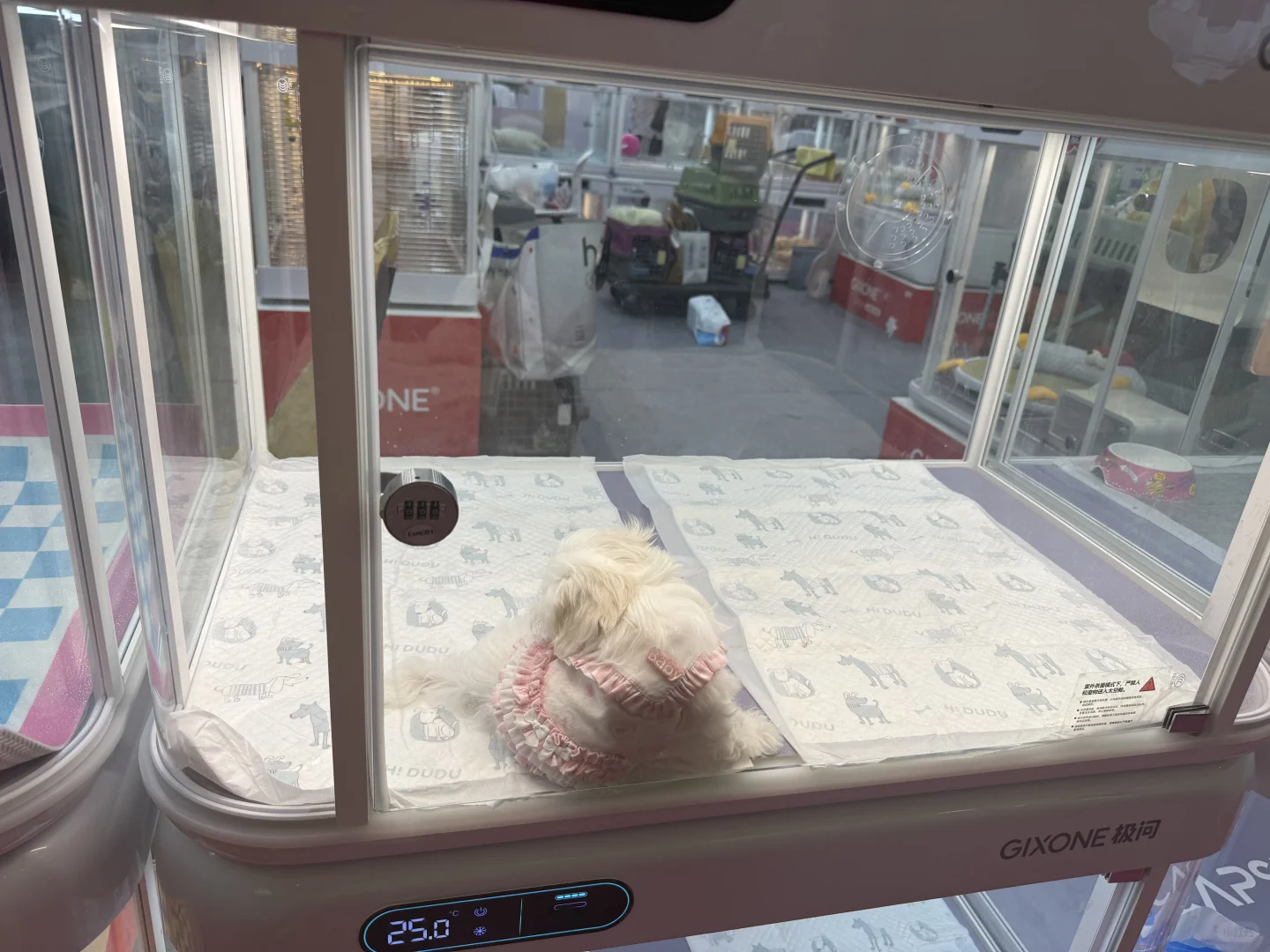 亚宠展虐宠！！！该品牌也要避雷！！